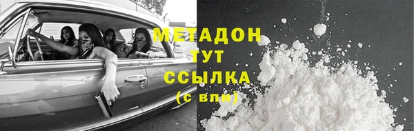 прущие грибы Аркадак