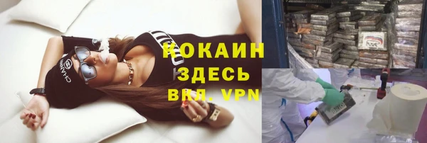 прущие грибы Аркадак