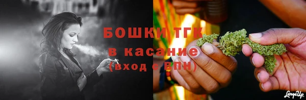 прущие грибы Аркадак