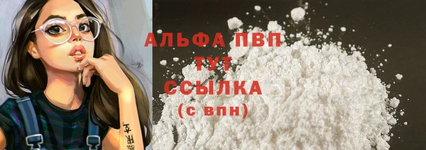прущие грибы Аркадак
